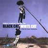 BLACK CAT WHITE CAT!